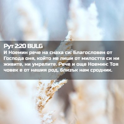 Picture 02 - Рут 2:20 BULG - И Ноемин рече на снаха си: - Bible Verse Picture