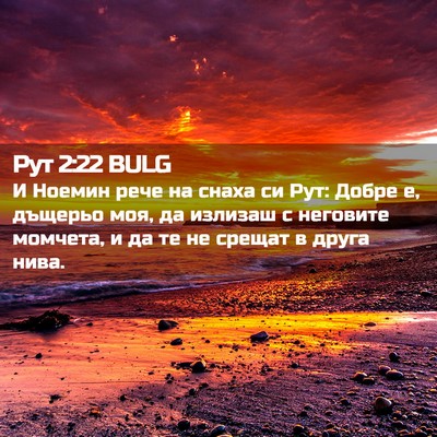 Picture 02 - Рут 2:22 BULG - И Ноемин рече на снаха си - Bible Verse Picture