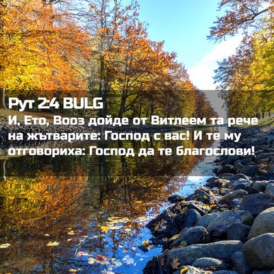 Picture 02 - Рут 2:4 BULG - И, Ето, Вооз дойде от - Bible Verse Picture