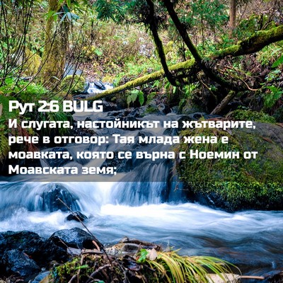 Picture 02 - Рут 2:6 BULG - И слугата, настойникът на - Bible Verse Picture