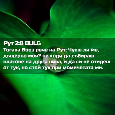 Picture 02 - Рут 2:8 BULG - Тогава Вооз рече на Рут: - Bible Verse Picture