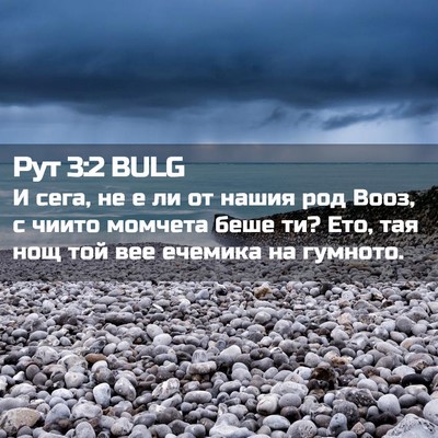 Picture 02 - Рут 3:2 BULG - И сега, не е ли от нашия род - Bible Verse Picture