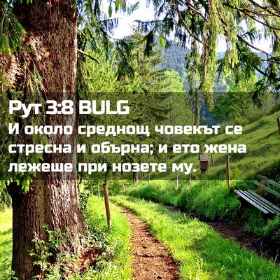 Picture 02 - Рут 3:8 BULG - И около среднощ човекът се - Bible Verse Picture