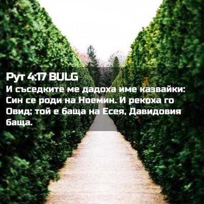 Picture 02 - Рут 4:17 BULG - И съседките ме дадоха име - Bible Verse Picture