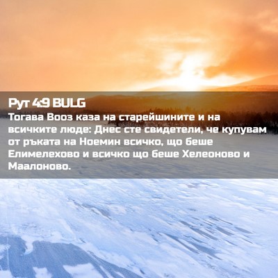 Picture 02 - Рут 4:9 BULG - Тогава Вооз каза на - Bible Verse Picture
