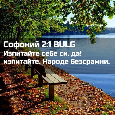 Picture 02 - Софоний 2:1 BULG - Изпитайте себе си, да! - Bible Verse Picture