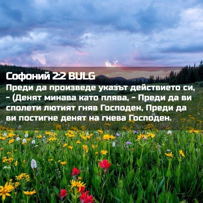 Picture 02 - Софоний 2:2 BULG - Преди да произведе указът - Bible Verse Picture