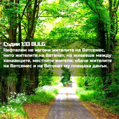 Picture 02 - Съдии 1:33 BULG - Нефталим не изгони - Bible Verse Picture