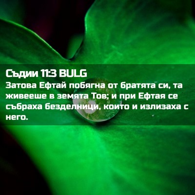 Picture 02 - Съдии 11:3 BULG - Затова Ефтай побягна от - Bible Verse Picture