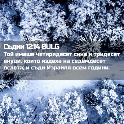 Picture 02 - Съдии 12:14 BULG - Той имаше четиридесет сина - Bible Verse Picture