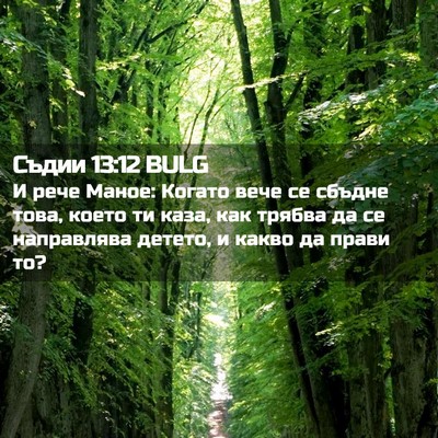 Picture 02 - Съдии 13:12 BULG - И рече Маное: Когато вече - Bible Verse Picture