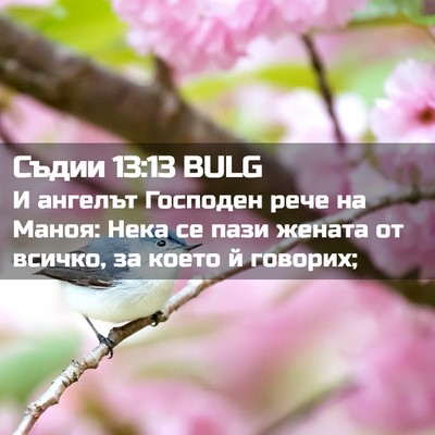 Picture 02 - Съдии 13:13 BULG - И ангелът Господен рече на - Bible Verse Picture