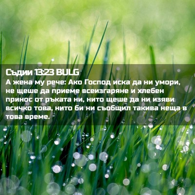 Picture 02 - Съдии 13:23 BULG - А жена му рече: Ако Господ - Bible Verse Picture