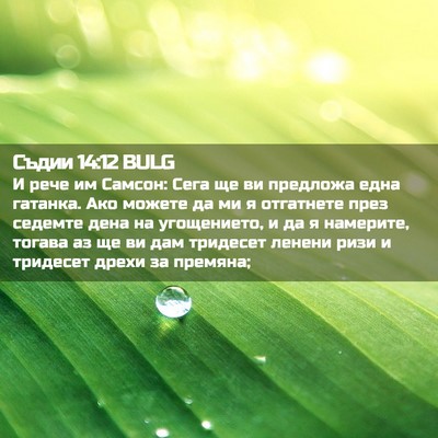 Picture 02 - Съдии 14:12 BULG - И рече им Самсон: Сега ще ви - Bible Verse Picture
