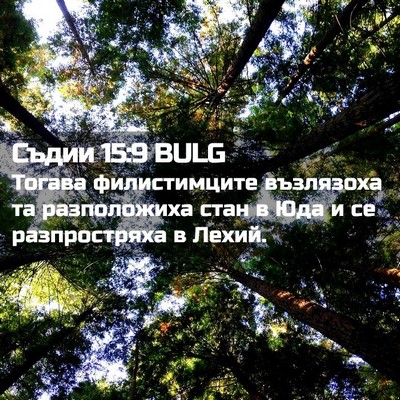 Picture 02 - Съдии 15:9 BULG - Тогава филистимците - Bible Verse Picture