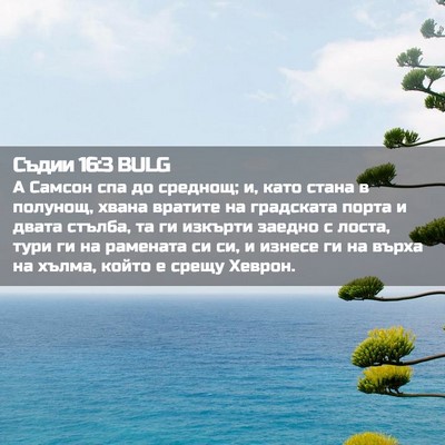 Picture 02 - Съдии 16:3 BULG - А Самсон спа до среднощ; и, - Bible Verse Picture