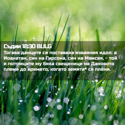 Picture 02 - Съдии 18:30 BULG - Тогава данците си - Bible Verse Picture