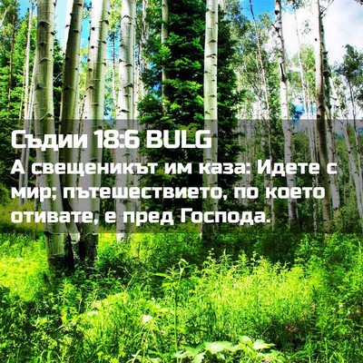 Picture 02 - Съдии 18:6 BULG - А свещеникът им каза: Идете - Bible Verse Picture
