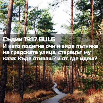 Picture 02 - Съдии 19:17 BULG - И като подигна очи и видя - Bible Verse Picture