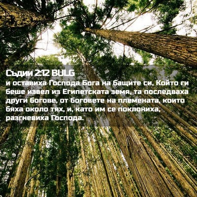 Picture 02 - Съдии 2:12 BULG - и оставиха Господа Бога на - Bible Verse Picture