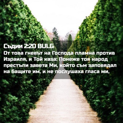 Picture 02 - Съдии 2:20 BULG - От това гневът на Господа - Bible Verse Picture