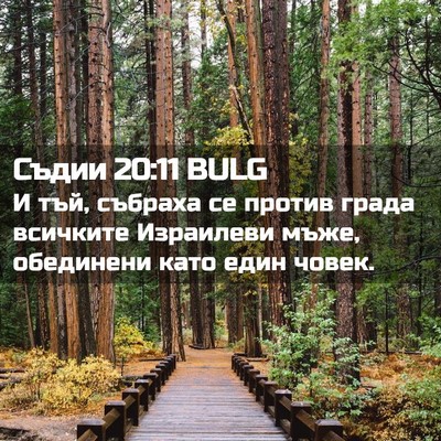 Picture 02 - Съдии 20:11 BULG - И тъй, събраха се против - Bible Verse Picture