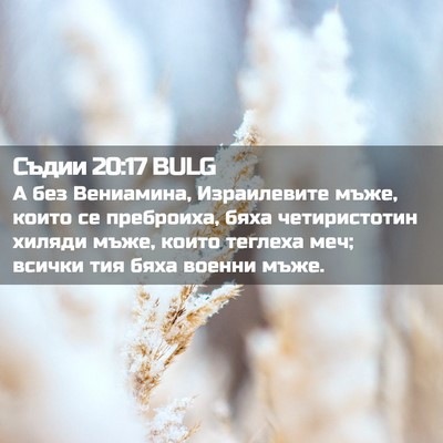 Picture 02 - Съдии 20:17 BULG - А без Вениамина, - Bible Verse Picture