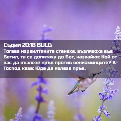 Picture 02 - Съдии 20:18 BULG - Тогава израилтяните - Bible Verse Picture
