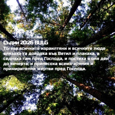Picture 02 - Съдии 20:26 BULG - Тогава всичките - Bible Verse Picture