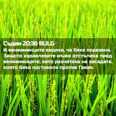 Picture 02 - Съдии 20:36 BULG - И вениаминците видяха, че - Bible Verse Picture