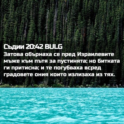 Picture 02 - Съдии 20:42 BULG - Затова обърнаха се пред - Bible Verse Picture