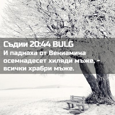 Picture 02 - Съдии 20:44 BULG - И паднаха от Вениамина - Bible Verse Picture