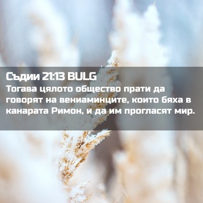 Picture 02 - Съдии 21:13 BULG - Тогава цялото общество - Bible Verse Picture