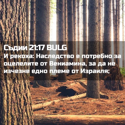 Picture 02 - Съдии 21:17 BULG - И рекоха: Наследство е - Bible Verse Picture