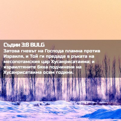 Picture 02 - Съдии 3:8 BULG - Затова гневът на Господа - Bible Verse Picture