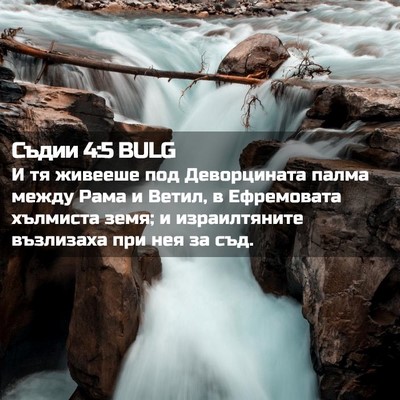 Picture 02 - Съдии 4:5 BULG - И тя живееше под - Bible Verse Picture