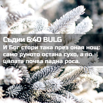 Picture 02 - Съдии 6:40 BULG - И Бог стори така през оная - Bible Verse Picture
