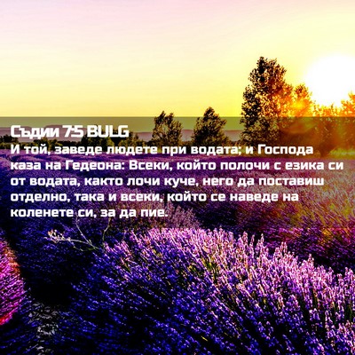 Picture 02 - Съдии 7:5 BULG - И той, заведе людете при - Bible Verse Picture