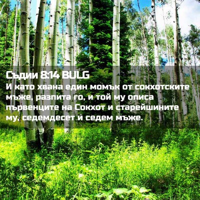 Picture 02 - Съдии 8:14 BULG - И като хвана един момък от - Bible Verse Picture