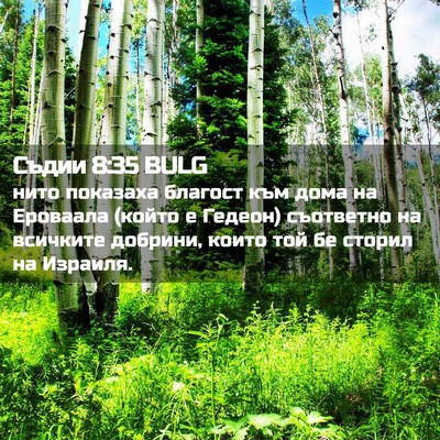 Picture 02 - Съдии 8:35 BULG - нито показаха благост към - Bible Verse Picture
