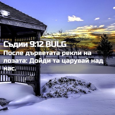 Picture 02 - Съдии 9:12 BULG - После дърветата рекли на - Bible Verse Picture