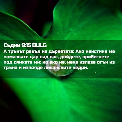 Picture 02 - Съдии 9:15 BULG - А трънът рекъл на - Bible Verse Picture