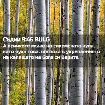 Picture 02 - Съдии 9:46 BULG - А всичките мъже на - Bible Verse Picture