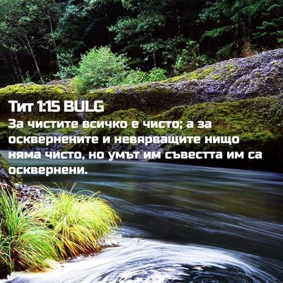 Picture 02 - Тит 1:15 BULG - За чистите всичко е чисто; - Bible Verse Picture