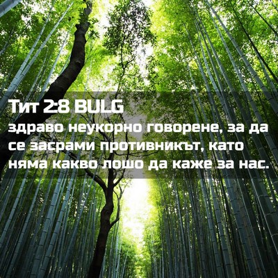 Picture 02 - Тит 2:8 BULG - здраво неукорно говорене, - Bible Verse Picture