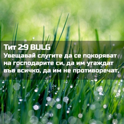 Picture 02 - Тит 2:9 BULG - Увещавай слугите да се - Bible Verse Picture