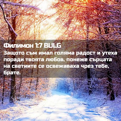 Picture 02 - Филимон 1:7 BULG - Защото съм имал голяма - Bible Verse Picture