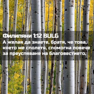 Picture 02 - Филипяни 1:12 BULG - А желая да знаете, братя, че - Bible Verse Picture