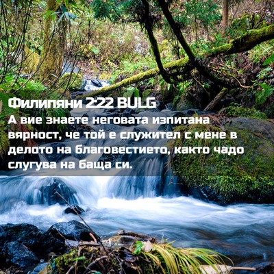 Picture 02 - Филипяни 2:22 BULG - А вие знаете неговата - Bible Verse Picture