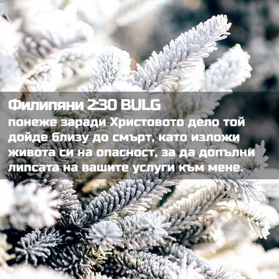 Picture 02 - Филипяни 2:30 BULG - понеже заради Христовото - Bible Verse Picture